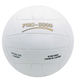 Volley Ball